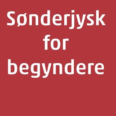 Sønderjysk for Begyndere