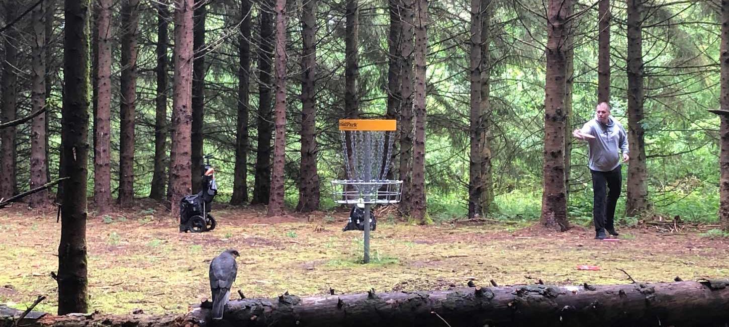 Disc Golf i skoven